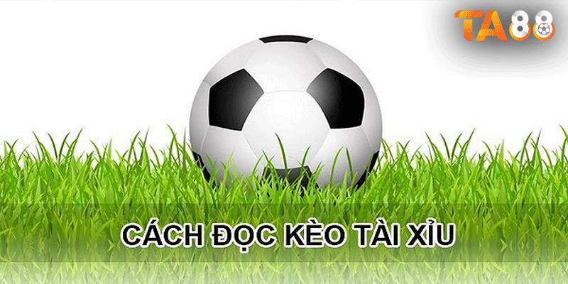 Đọc kèo tài xỉu cùng TA88