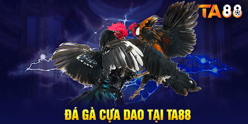Tham gia Đá Gà Cựa Dao đơn giản chỉ với vài bước