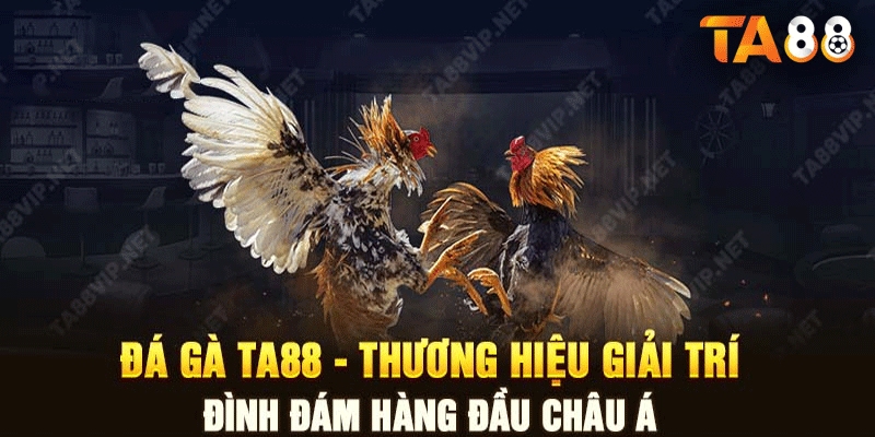 Đá Gà Cựa Sắt - Hướng Dẫn Tham Gia, Mẹo Chơi Và Đặt Cược 