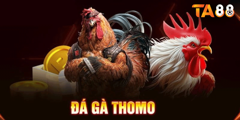 Cách đổi thường sau khi chơi Đá Gà Thomo tại TA88 vô cùng đa dạng